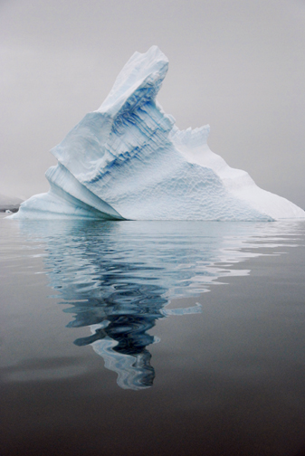 AbandonGentoos Trot by Iceberg Reflection