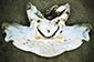 Hammerhead Shark Skull with False Inscription