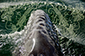 Grey Whale Departs in Mayan-Inscribed Sea