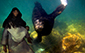 Los Isolates Underwater Sea Lion and Lacandan Mother
