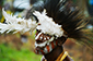 Karawari Man with Cassowary Headdress