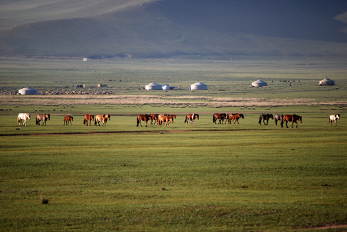 Mongolia, Horses and Gers