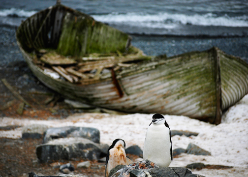 Abandoned Boat, Antarctica