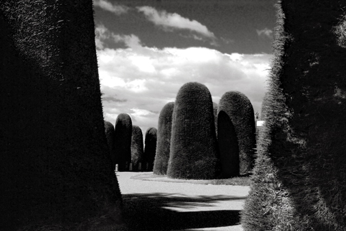 Yew Guardians, Punta Arenas Cemetery, Chile