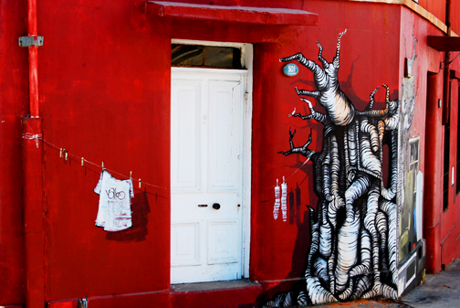 Valparaiso, Chile, Red Root Wall