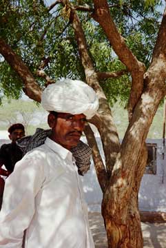 Village Singer, Rajasthan