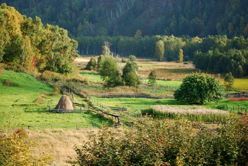 Lake Baikal Farm